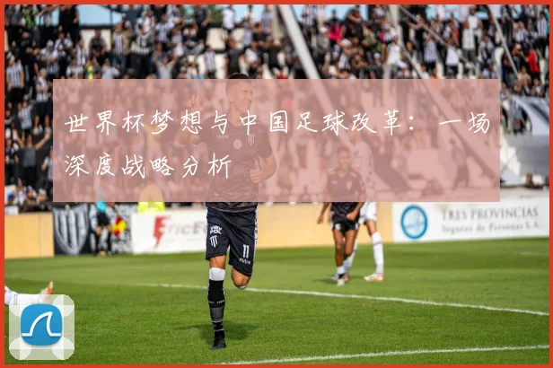 世界杯梦想与中国足球改革：一场深度战略分析