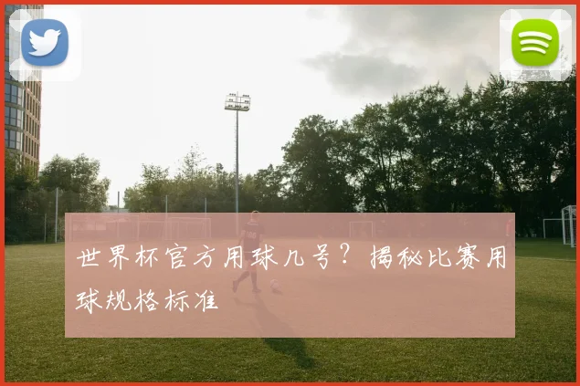 世界杯官方用球几号？揭秘比赛用球规格标准